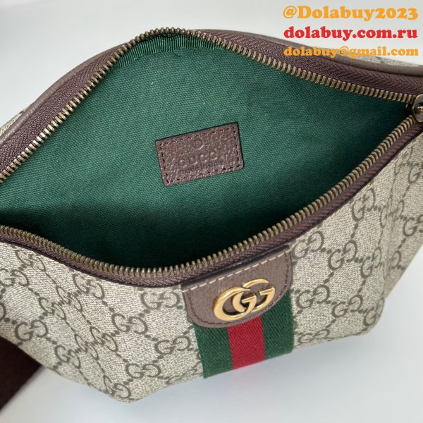 Gucci First Ophidia Small Belt 839106 Bag