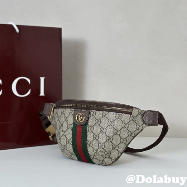 Gucci First Ophidia Small Belt 839106 Bag